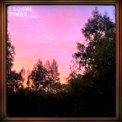 cover for track Картины of artist ExQsMe