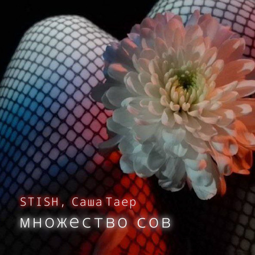 cover for track Множество Сов of artist STISH, Саша Таер