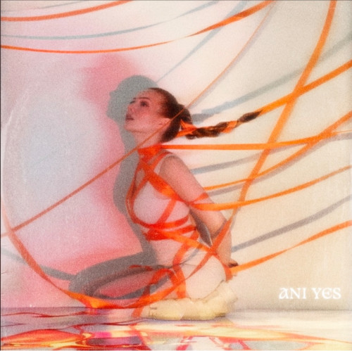 cover for track немножко неприятно of artist ANI YES