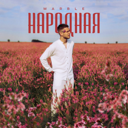 cover for track НАРОДНАЯ of artist MARBLE
