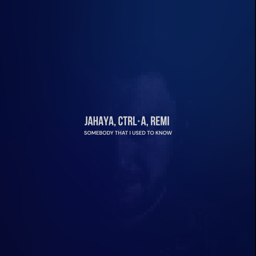cover for track Somebody That I Used to Know of artist CTRL+A