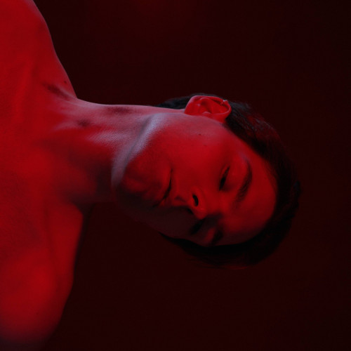 cover for track сладко of artist 1501