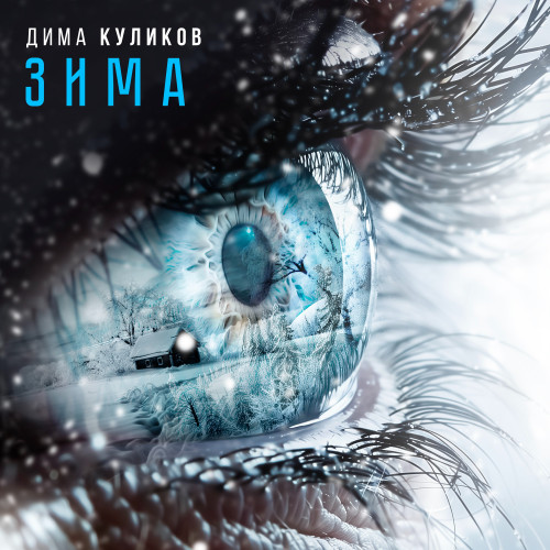 cover for track Зима of artist Дима Куликов