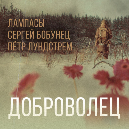 cover for track Доброволец (feat. Сергей Бобунец & Пётр Лундстрем) of artist Лампасы