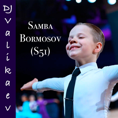 cover for track Samba Bormosov of artist DJ Valikaev