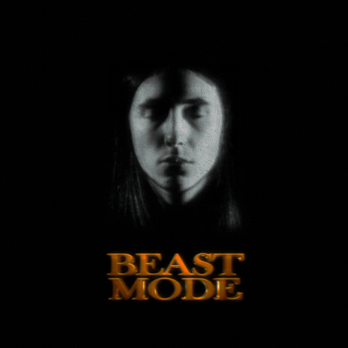 cover for track BEAST MODE of artist Heronwater