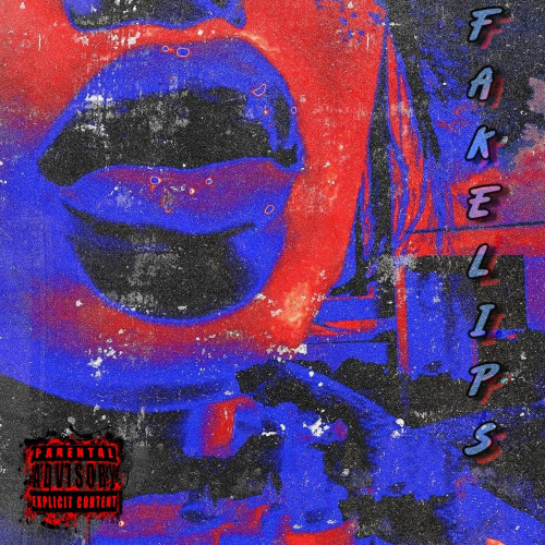 cover for track FAKELIPS of artist Xsail