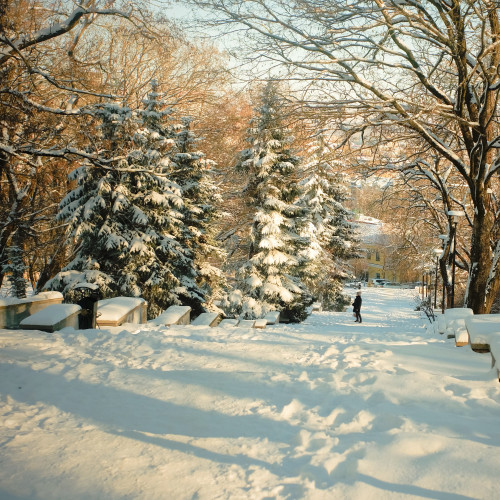 cover for track Снегопад of artist Ночь. Улица. Фонарь.