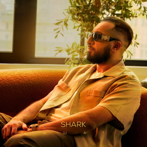 cover for track Дышать of artist SHARK