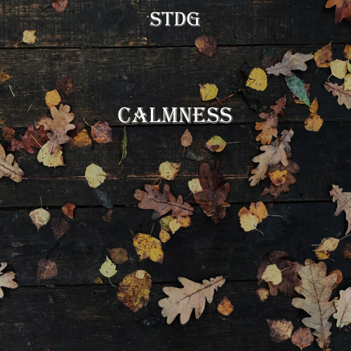 cover for track Calmness of artist STDG