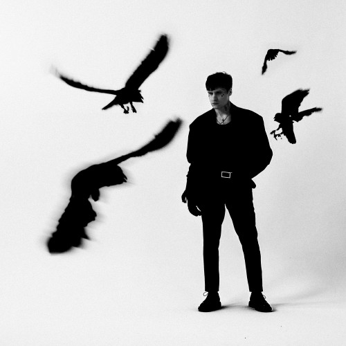 cover for track Вороны of artist МУККА