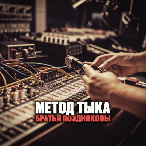 cover for track Метод тыка of artist Братья Поздняковы