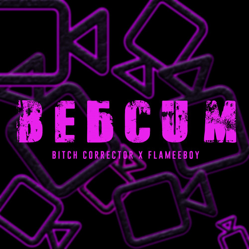 cover for track Дура из вебкам of artist BITCH CORRECTOR, FLAMEEBOY