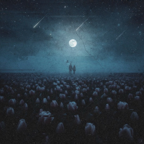 cover for track Звёзды падают на пол of artist Comatose, Chaapppy