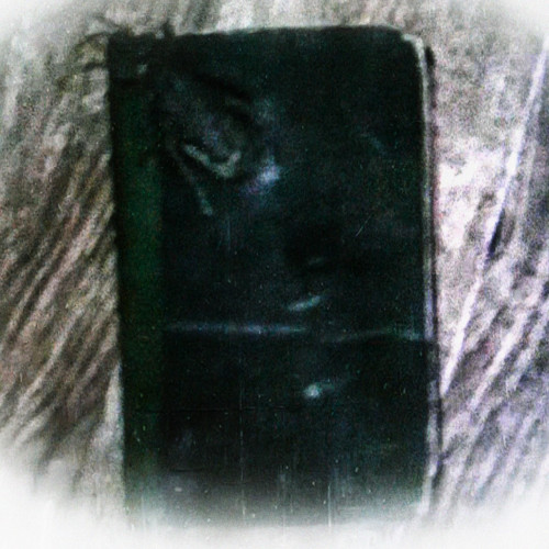 cover for track Pittkiid of artist Dear Diary