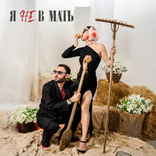 cover for track Я не в мать of artist ПАРА ЛЯМОВ