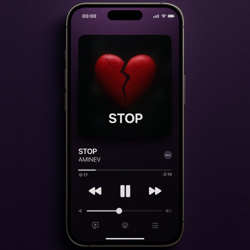 cover for track STOP of artist AMINEV