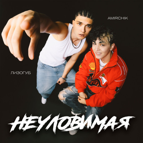 cover for track Неуловимая of artist Amirchik, Лизогуб