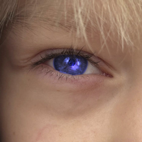 cover for track Синеглазый of artist IRINA TREYN