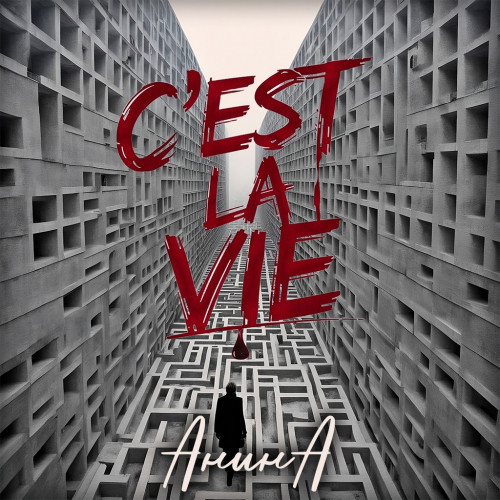 cover for track C'est la vie of artist АнинА