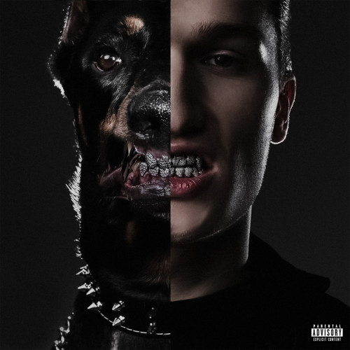 cover for track Project V of artist Voskresenskii