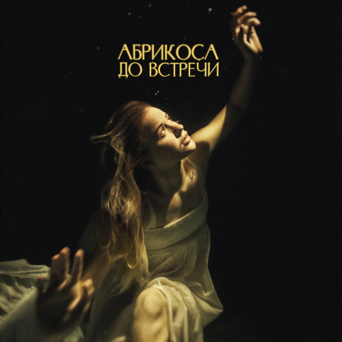 cover for track До встречи of artist Абрикоса