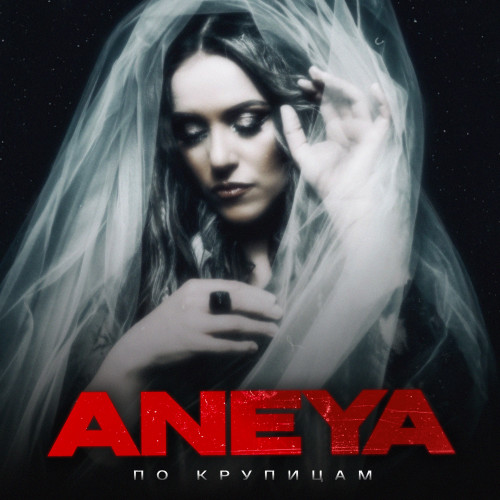 cover for track По крупицам of artist ANEYA