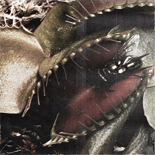 cover for track дизайнер of artist tvoisnyy, 17атмосфер 