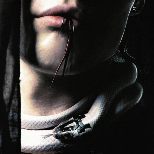 cover for track GARGONNA MUSIC  of artist Pepel Nahudi