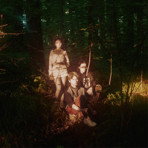 cover for track Never Felt Right of artist REFLECT AFTER DARK, шамиля