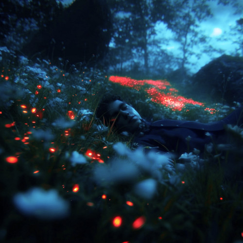 cover for track Solace in Reverie of artist DEATHORIA
