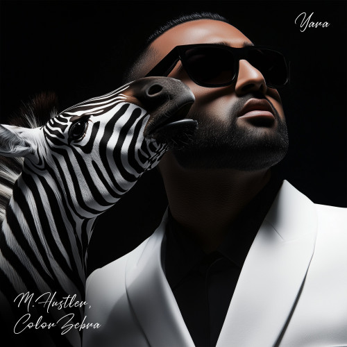 cover for track Yara of artist M.Hustler, Color Zebra