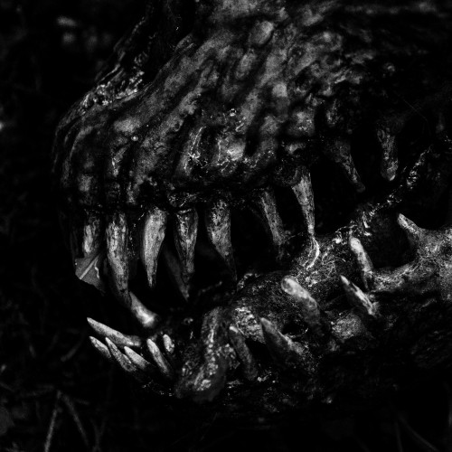 cover for track Хорошая сторона (Single, 2025) of artist Anacondaz