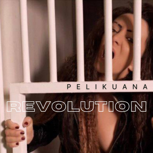 cover for track Revolution of artist PELIKUANA
