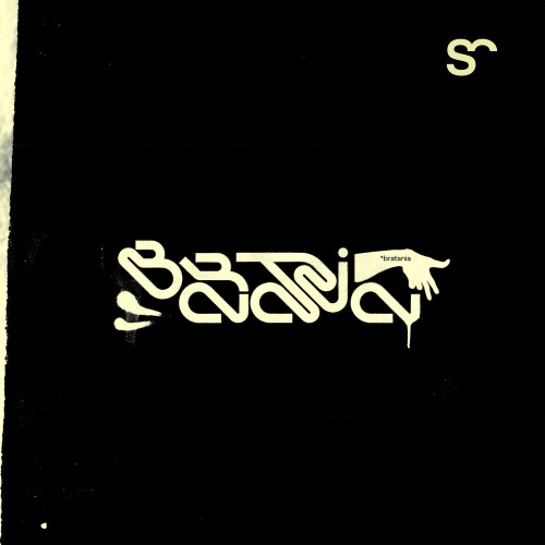 cover for track BRATANIA of artist Various Artists