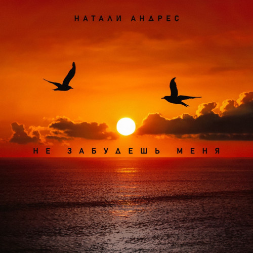 cover for track Не забудешь меня of artist Натали Андрес