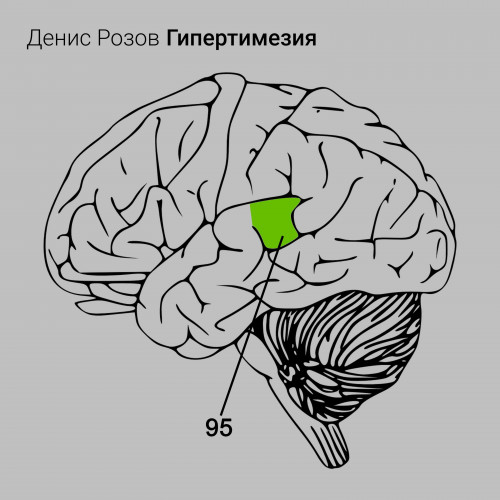 cover for track Гипертимезия 95 of artist Денис Розов